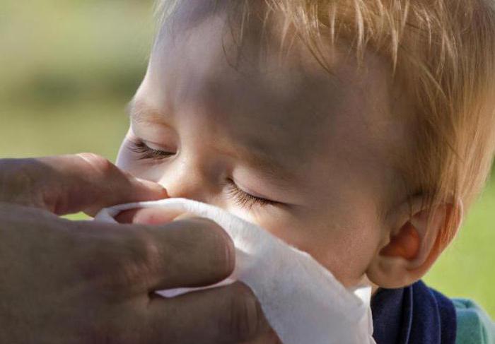 Скільки тримається температура при грипі у дітей: особливості, норма і рекомендації фахівців